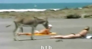 Emilie porno filmovi matorke je spremna za analni seks.