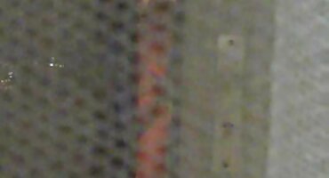 Polli kute miluje i dodiruje joj pornići s matorkama maca.