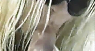 Mlada Zoe Clark jebanje domace matorke porno s kurirom.